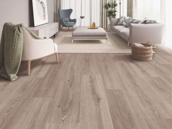 California Oak - Image 2