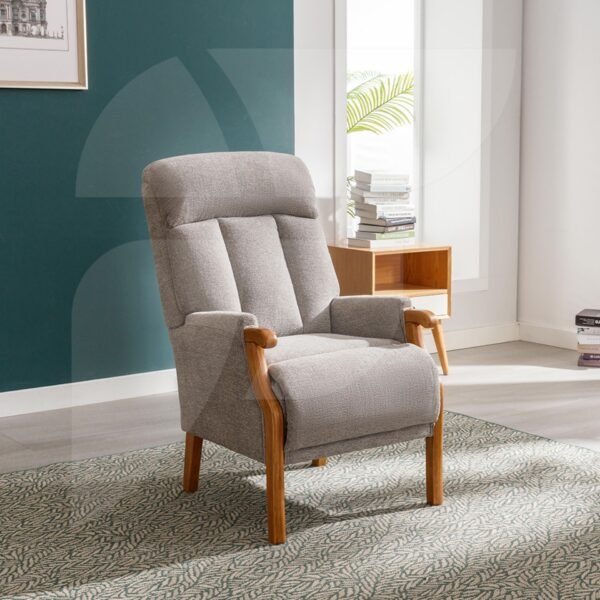 Blaze Fireside Chair / 2 Options - Image 2