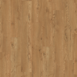 Alternative view of Honey Olchon Oak