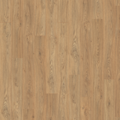 Alternative view of Natural Starwell Oak