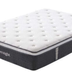 Slumbernight Sensation Box Top / 2 Sizes